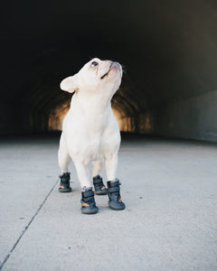 Beluga 544 Dog Shoes