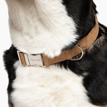 Load image into Gallery viewer, Vegan Dog Collar (Large Breeds)
